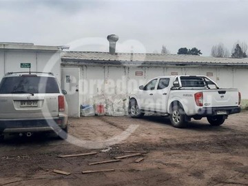 Imagen 4