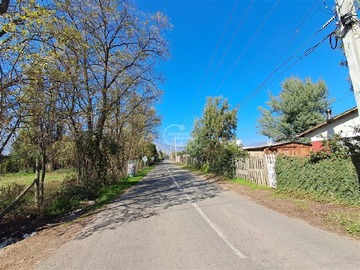Imagen 14