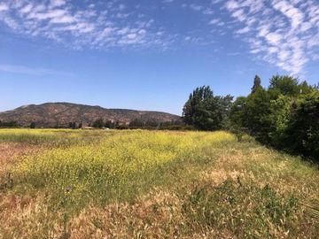 Venta / Parcela / Rengo
