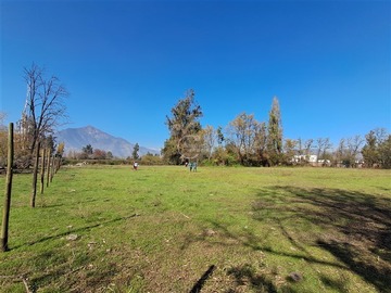 Imagen 5