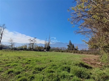 Imagen 11