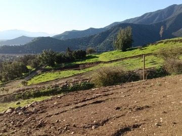 Imagen 6