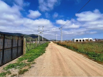 Imagen 10