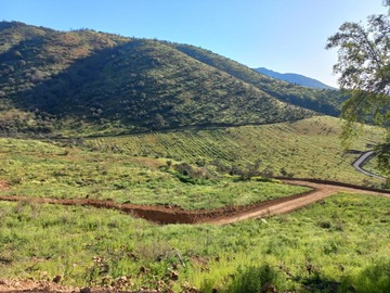 Venta / Parcela / Requínoa