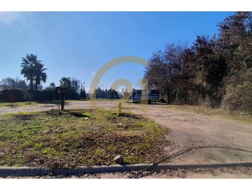 Imagen 7