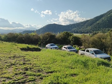 Imagen 7