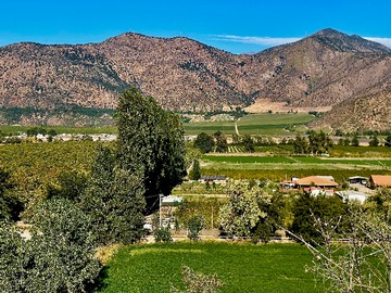 Venta / Parcela / Requínoa