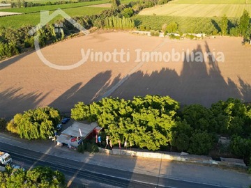 Imagen 12