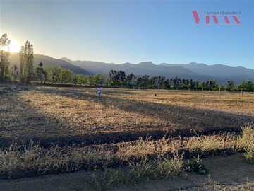 Venta / Parcela / Rinconada