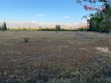 Venta / Parcela / Rinconada