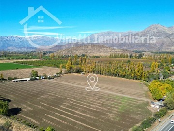 Imagen 7