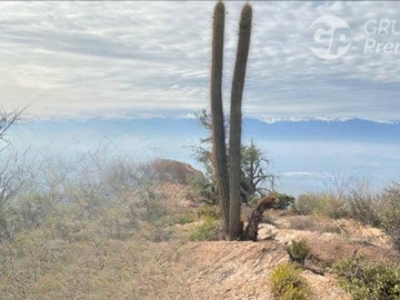 Imagen 8