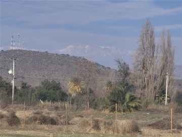 Imagen 5