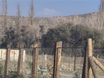 Imagen 6