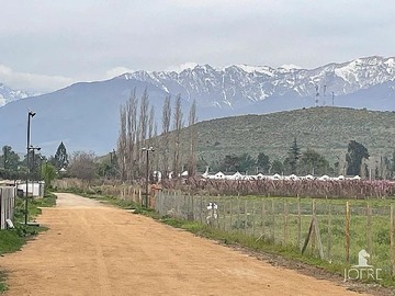 Venta / Parcela / Rinconada