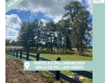 Venta / Parcela / Río Bueno