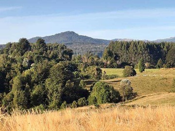 Venta / Parcela / Río Bueno