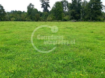 Imagen 6