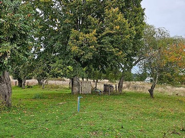 Venta / Parcela / Río Bueno