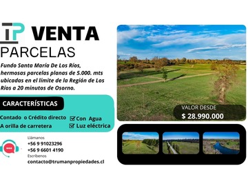 Venta / Parcela / Río Bueno