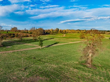 Venta / Parcela / Río Bueno