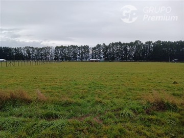 Venta / Parcela / Río Bueno
