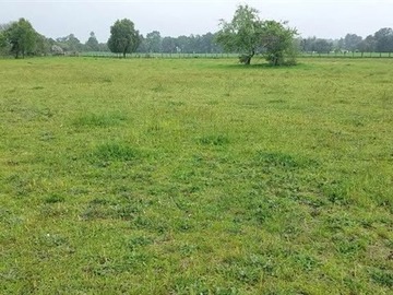 Venta / Parcela / Río Bueno