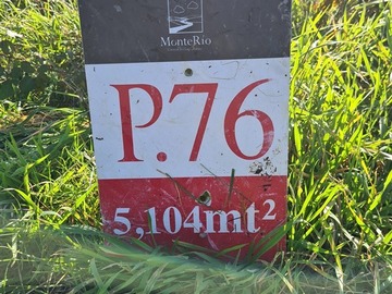 Imagen 12
