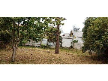 Venta / Parcela / Río Bueno