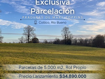 Venta / Parcela / Río Bueno