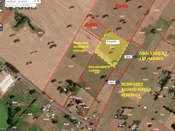 Venta / Parcela / Río Bueno
