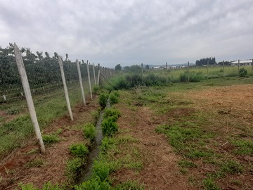 Venta / Parcela / Río Claro