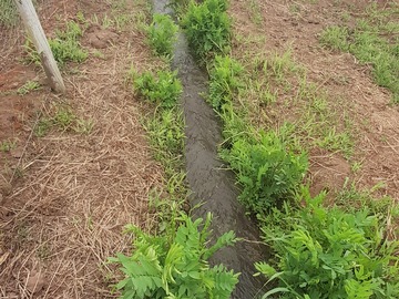 Venta / Parcela / Río Claro