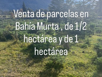 Venta / Parcela / Río Ibáñez