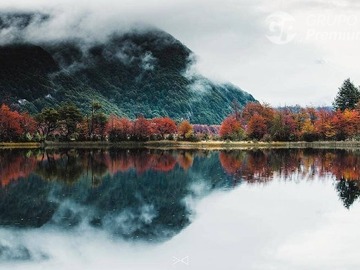 Venta / Parcela / Río Ibáñez