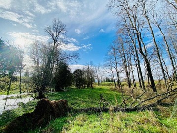 Venta / Parcela / Río Negro