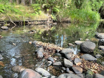Venta / Parcela / Río Negro
