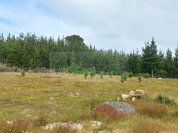 Venta / Parcela / San Antonio