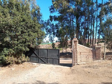 Imagen 29