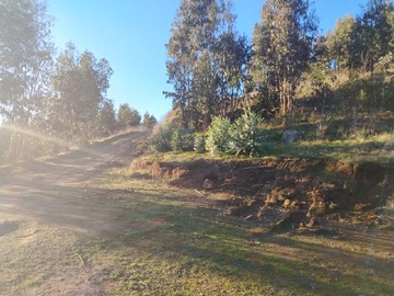 Imagen 7