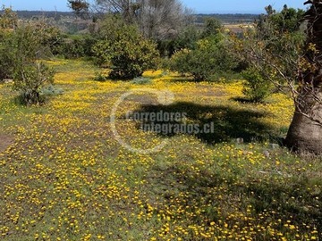 Imagen 17