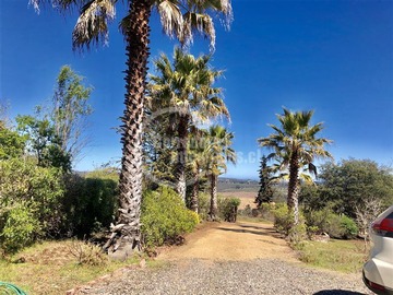Venta / Parcela / San Antonio