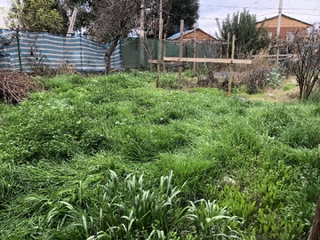 Venta / Parcela / San Bernardo