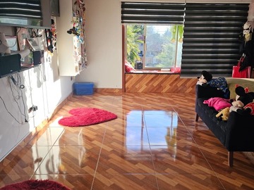 Imagen 10