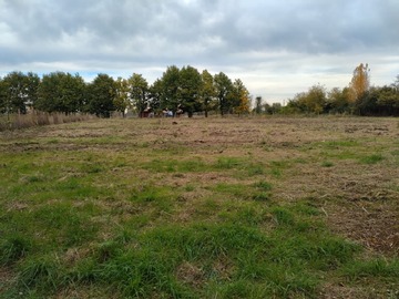 Imagen 11