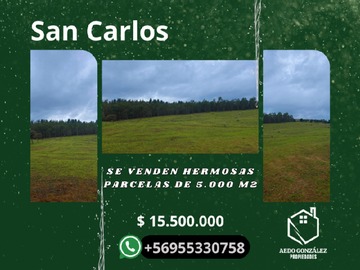 Venta / Parcela / San Carlos