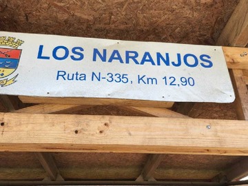 Imagen 7