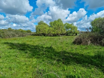 Venta / Parcela / San Carlos