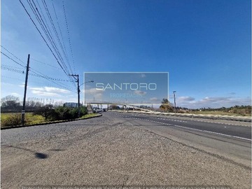 Imagen 14