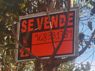 Imagen 7